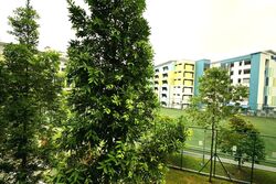 Blk 664A Punggol Drive (Punggol), HDB 3 Rooms #398764771